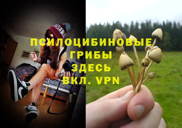 винт Балахна
