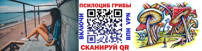 Псилоцибиновые грибы ЛСД  Городец 
